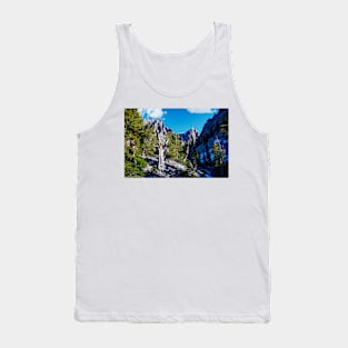 850_6884 Tank Top